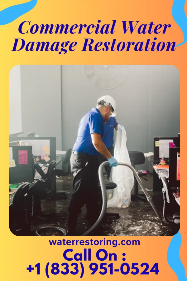 Commercial Water Damage Restoration in Masaryktown, FL
