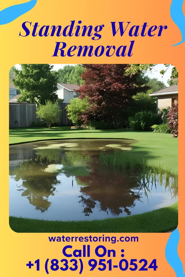 Standing Water Removal in Masaryktown, FL